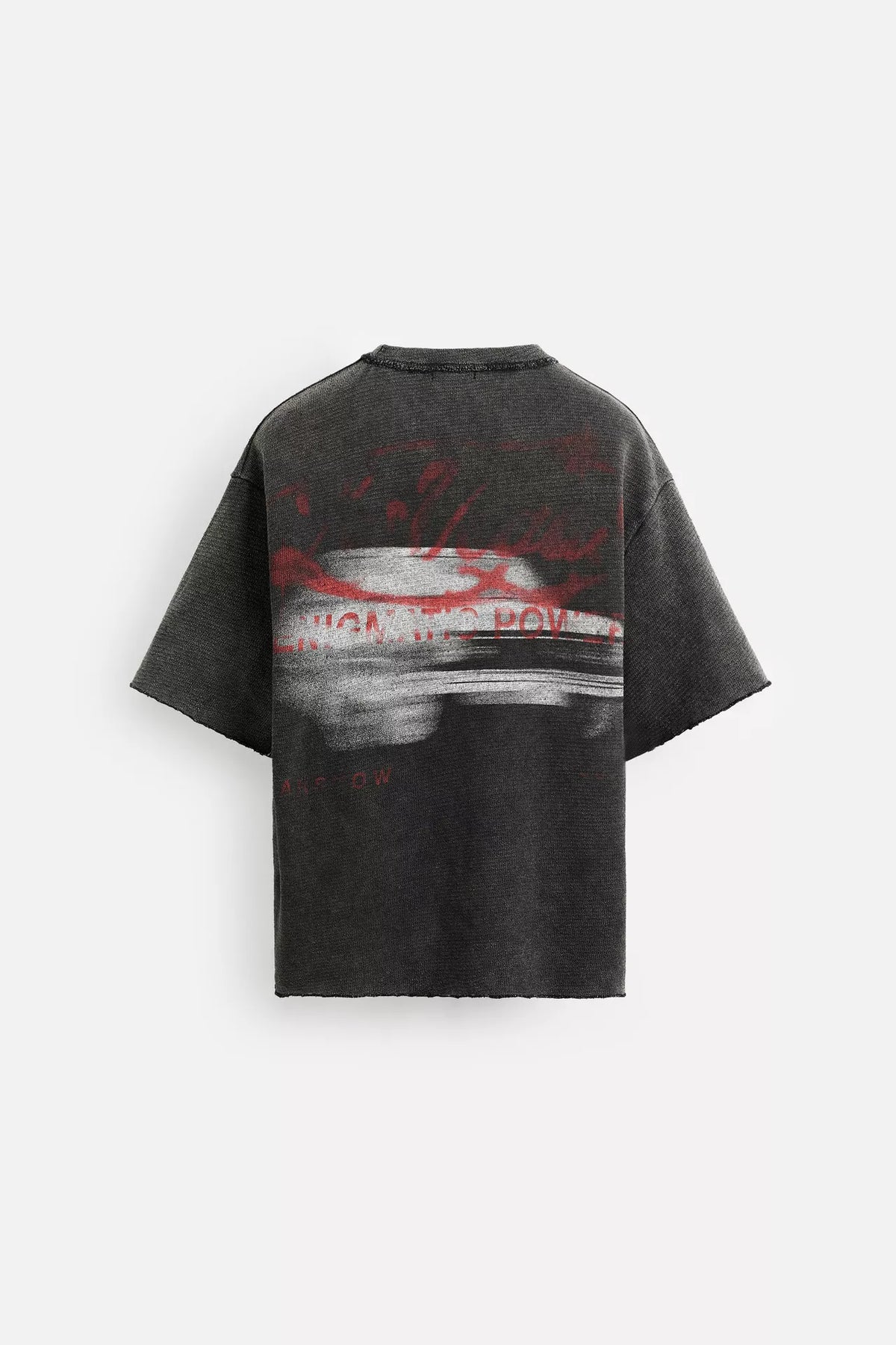 Camiseta Zara