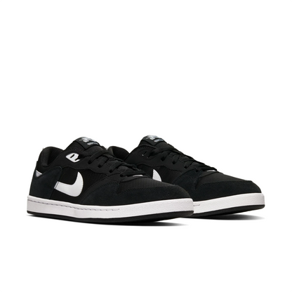 Nike SB Alleyoop