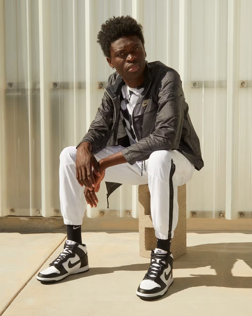 Nike Dunk High Retro